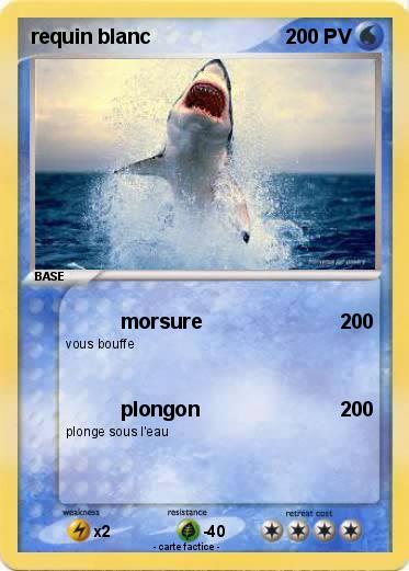 Pokemon requin blanc
