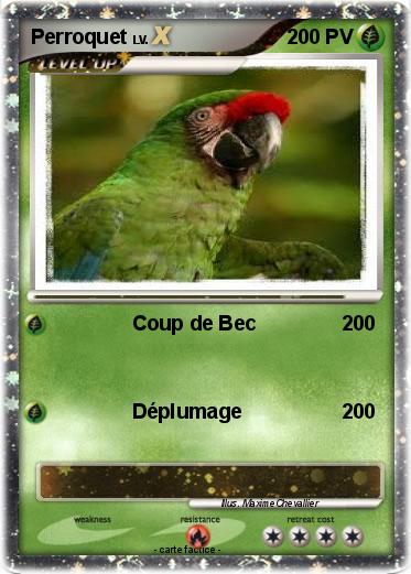 Pokemon Perroquet