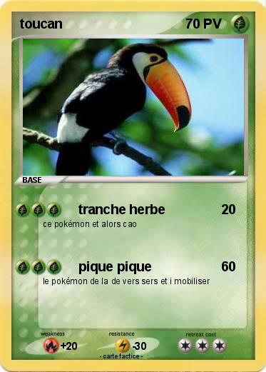 Pokemon toucan