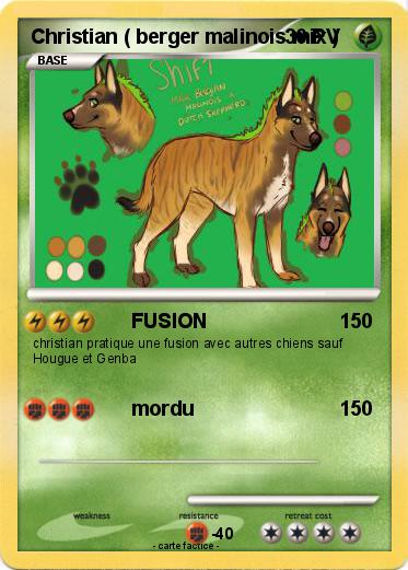 Pokemon Christian ( berger malinois mix )