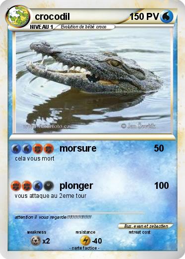 Pokemon crocodil