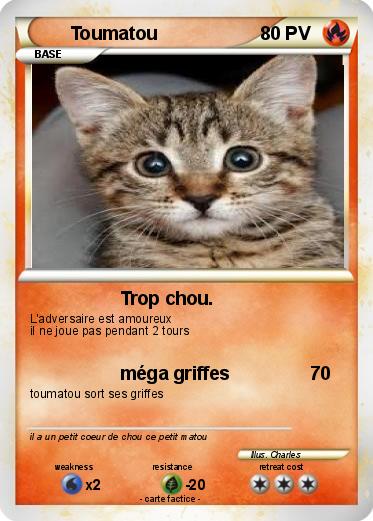 Pokemon Toumatou