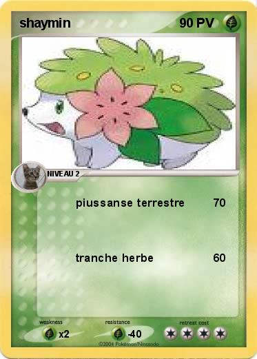 Pokemon shaymin