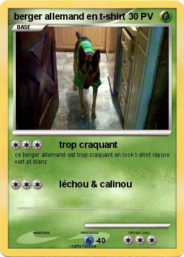 Pokemon berger allemand en t-shirt