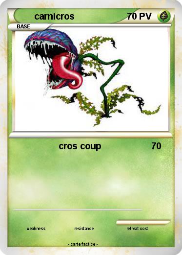 Pokemon carnicros