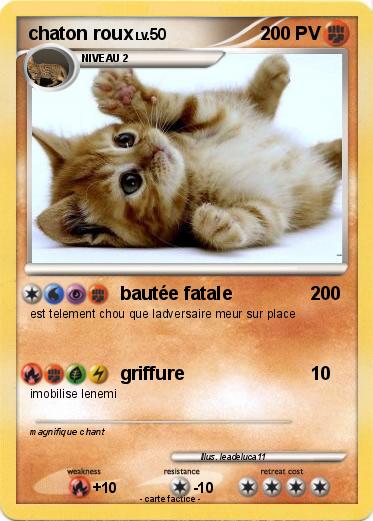 Pokemon chaton roux