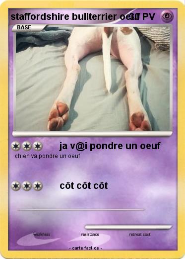 Pokemon staffordshire bullterrier oeuf