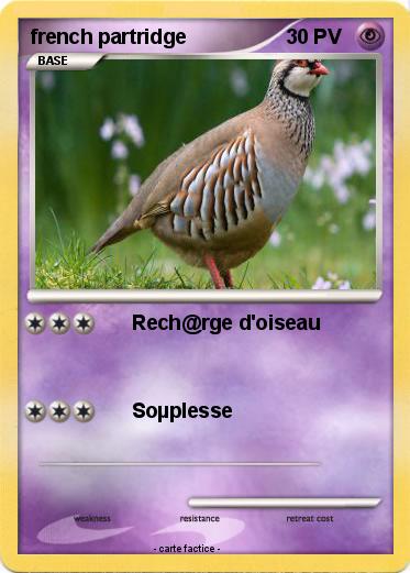 Pokemon french partridge