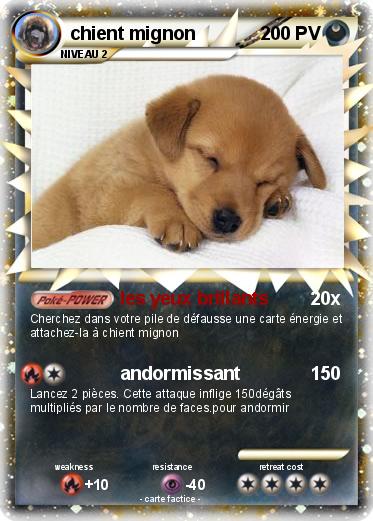 Pokemon chient mignon