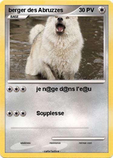 Pokemon berger des Abruzzes