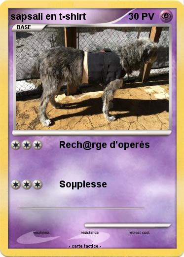 Pokemon sapsali en t-shirt