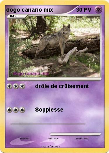 Pokemon dogo canario mix