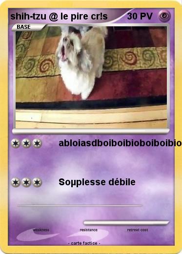 Pokemon shih-tzu @ le pire cr!s
