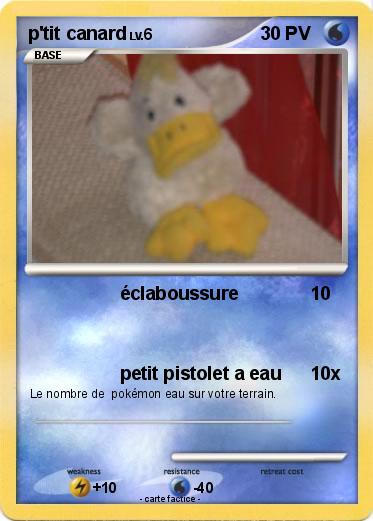 Pokemon p'tit canard