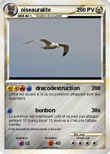 Pokemon oiseauralite