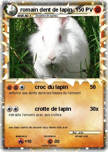 Pokemon romain dent de lapin