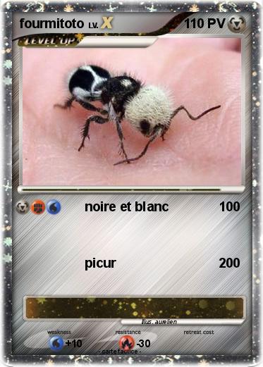 Pokemon fourmitoto