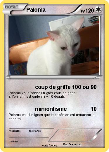 Pokemon Paloma