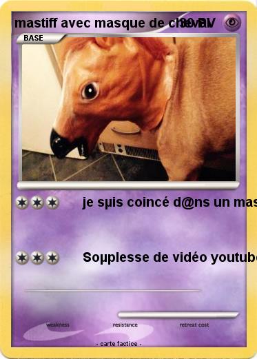 Pokemon mastiff avec masque de cheval