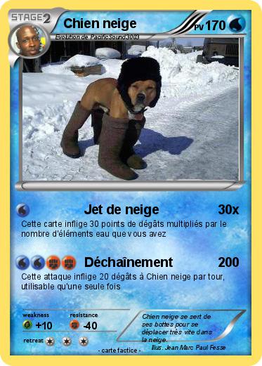 Pokemon Chien neige