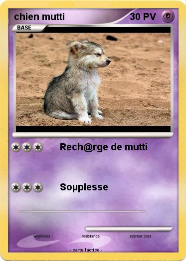 Pokemon chien mutti