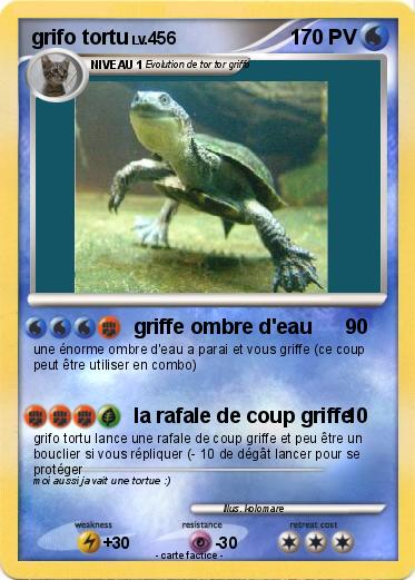 Pokemon grifo tortu