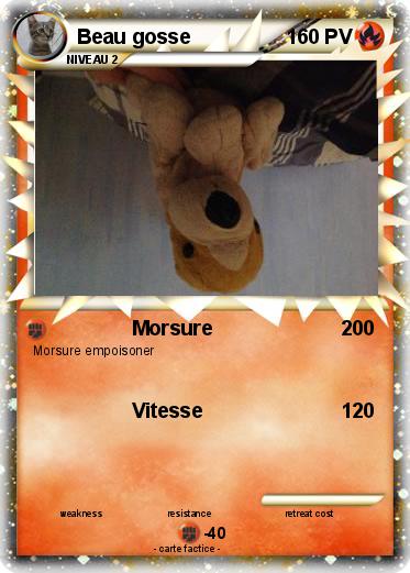 Pokemon Beau gosse