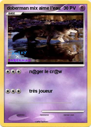 Pokemon doberman mix aime l'eau