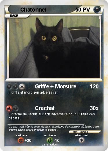 Pokemon Chatonnet