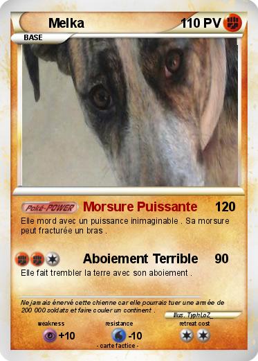 Pokemon Melka
