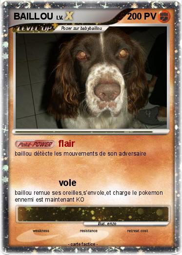 Pokemon BAILLOU