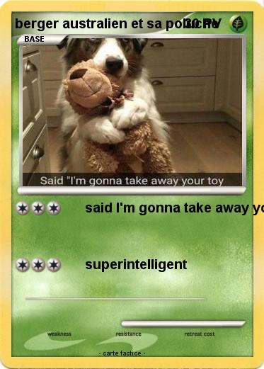 Pokemon berger australien et sa poluche