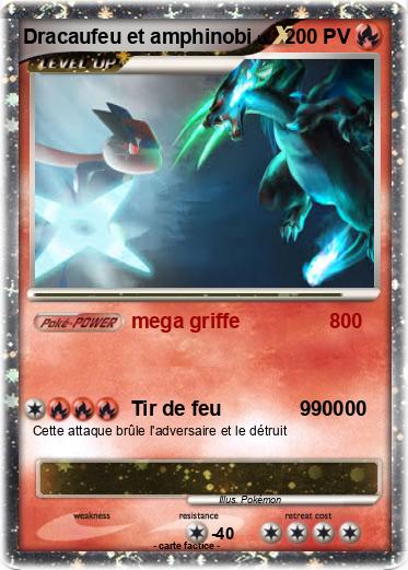 Pokemon Dracaufeu et amphinobi