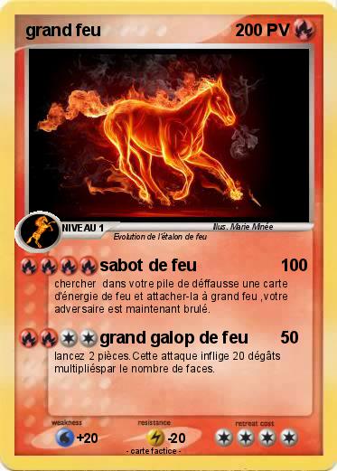 Pokemon grand feu