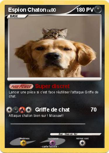 Pokemon Espion Chaton