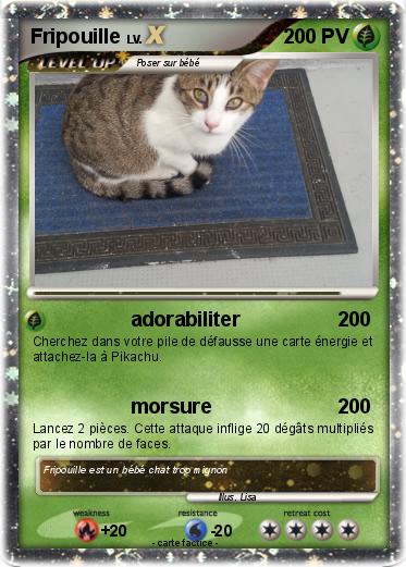 Pokemon Fripouille