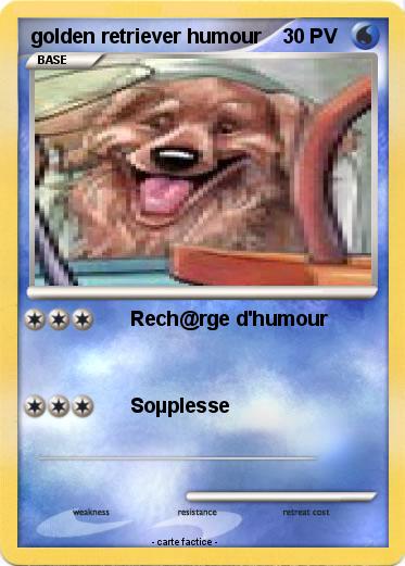 Pokemon golden retriever humour