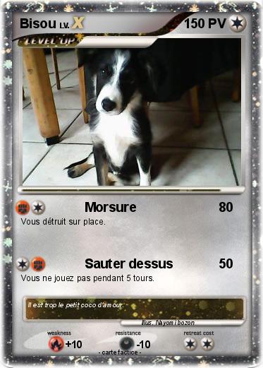 Pokemon Bisou