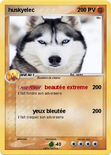 Pokemon huskyelec
