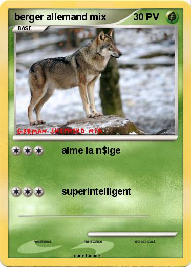 Pokemon berger allemand mix