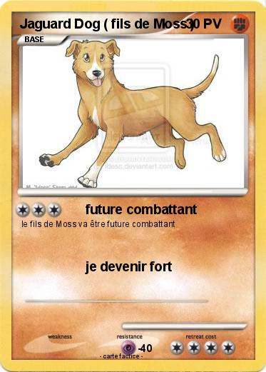 Pokemon Jaguard Dog ( fils de Moss )