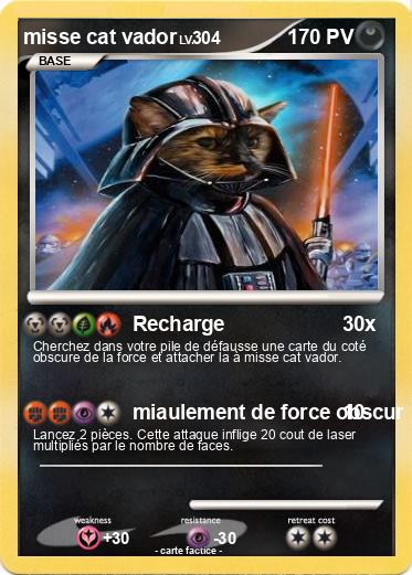 Pokemon misse cat vador