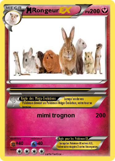 Pokemon Rongeur