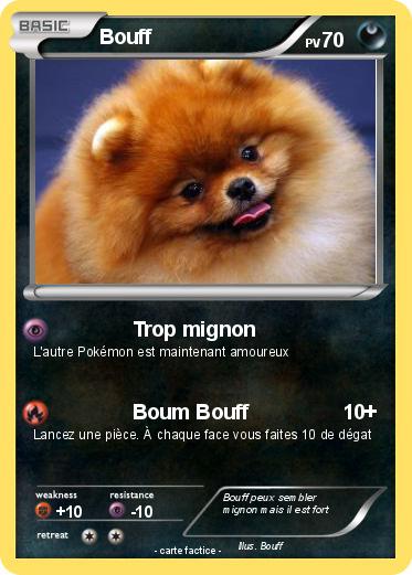Pokemon Bouff