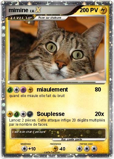 Pokemon mimine