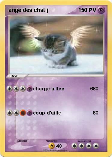 Pokemon ange des chat j