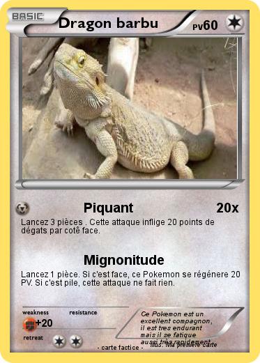 Pokemon Dragon barbu