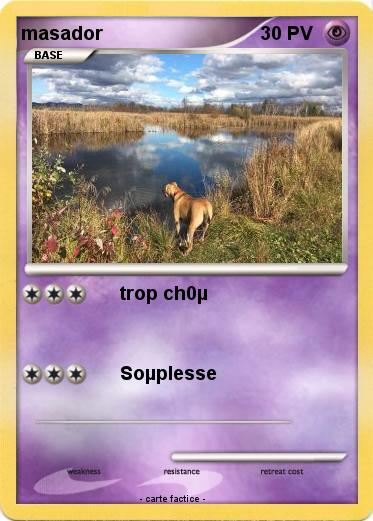 Pokemon masador