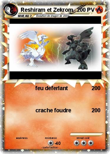 Pokemon Reshiram et Zekrom