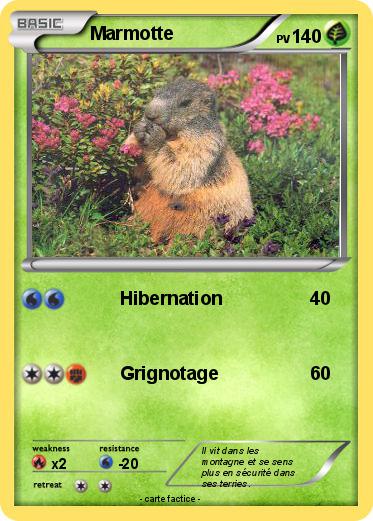 Pokemon Marmotte